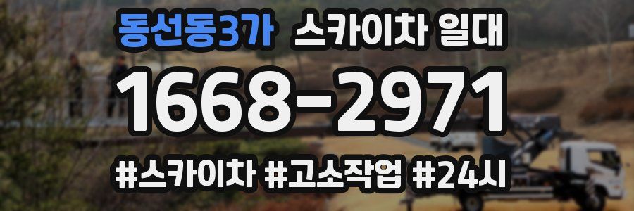 동선동3가 스카이차 일대