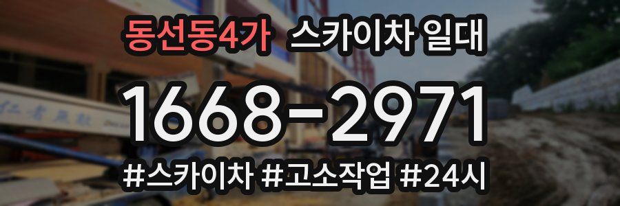 동선동4가 스카이차 일대