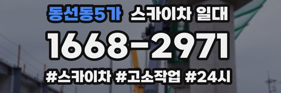 동선동5가 스카이차 일대