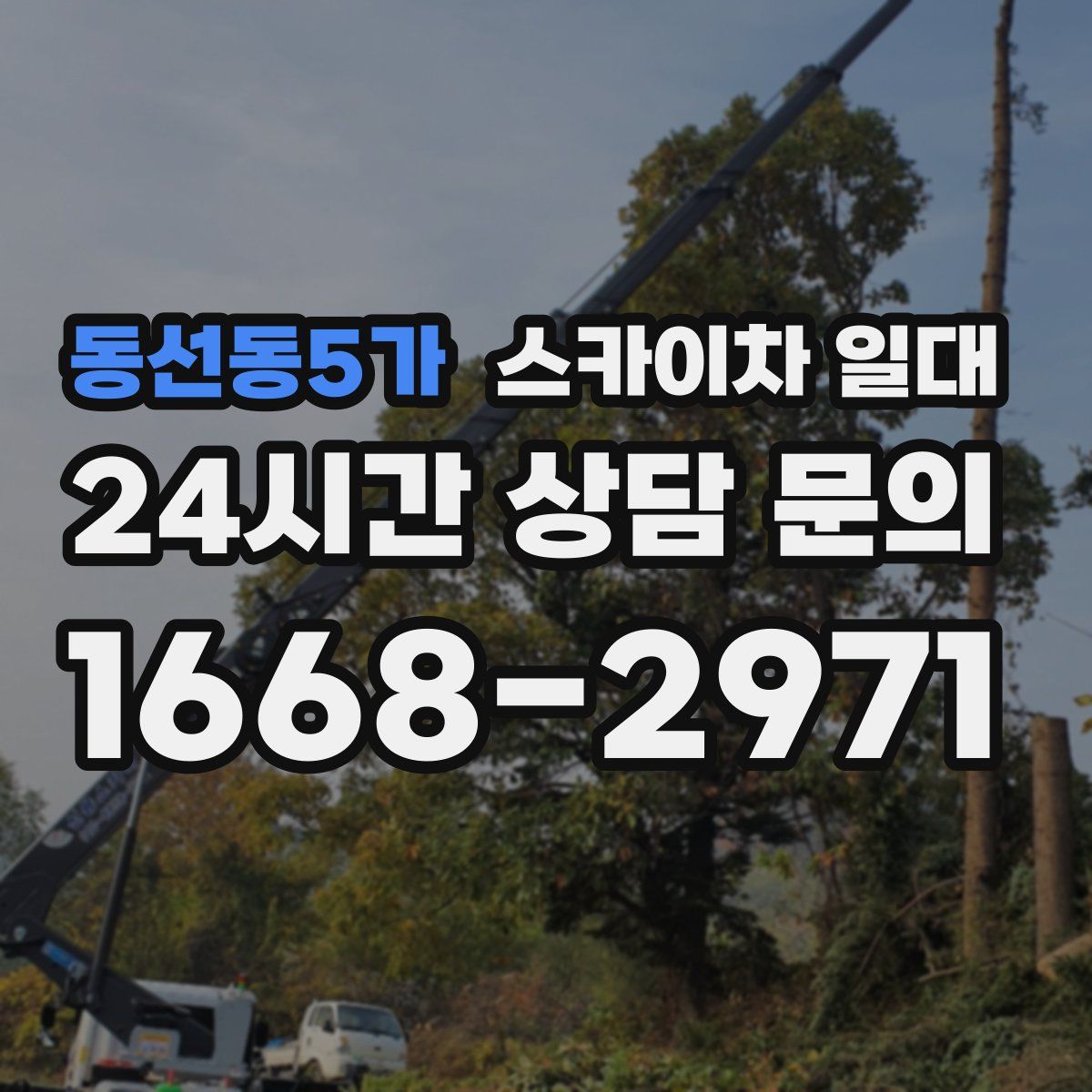 동선동5가 스카이차 일대