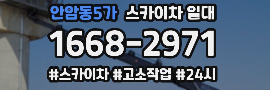 안암동5가 스카이차 일대