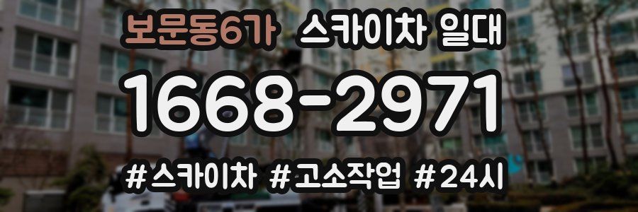 보문동6가 스카이차 일대
