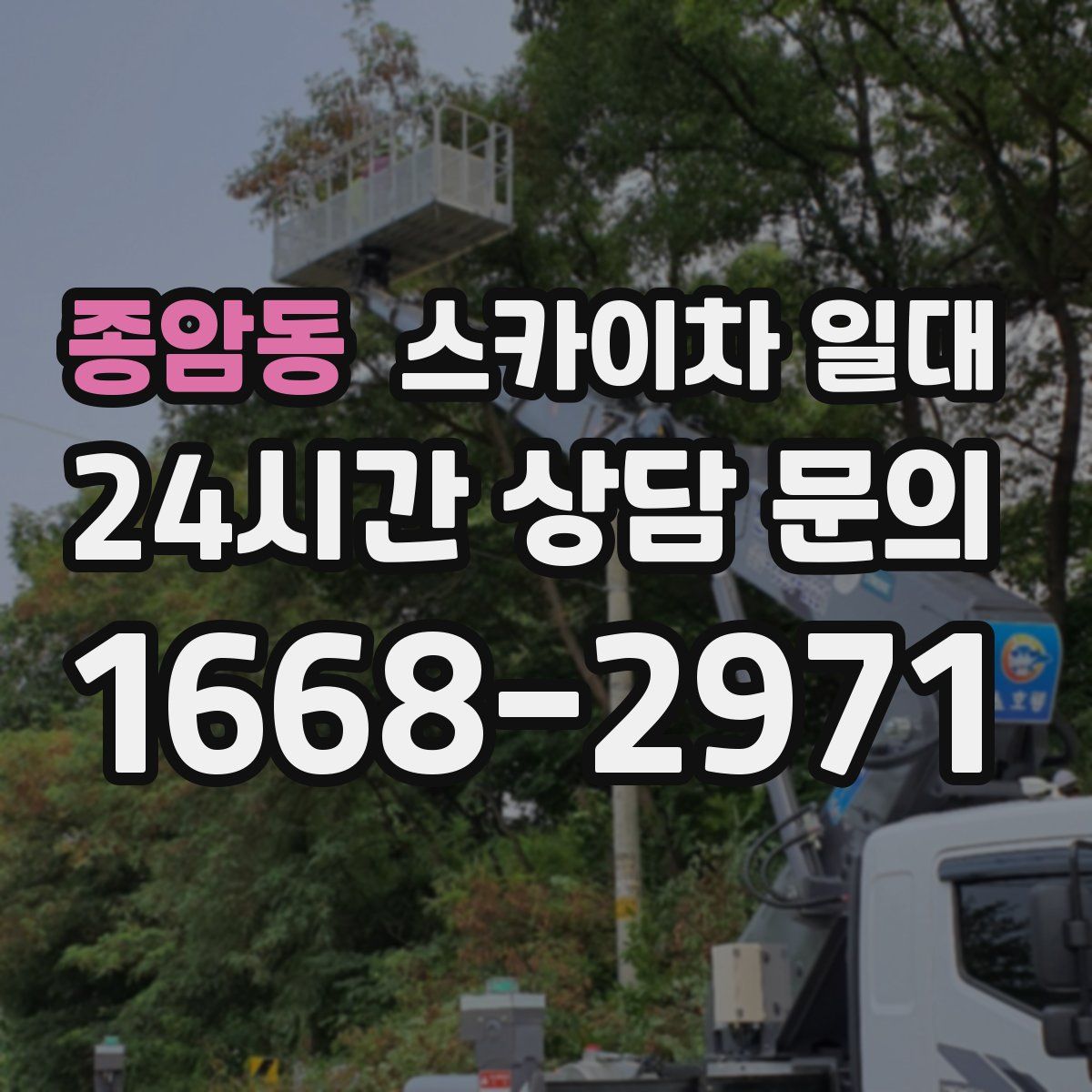 종암동 스카이차 일대