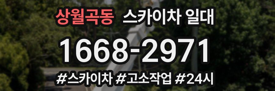 상월곡동 스카이차 일대