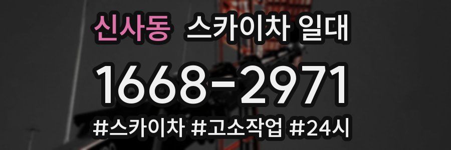 신사동 스카이차 일대