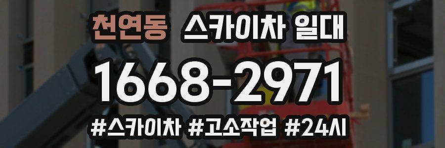 천연동 스카이차 일대
