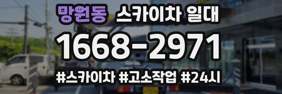 망원동 스카이차 일대