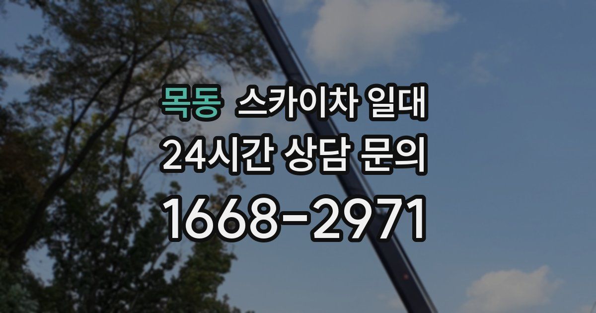목동 스카이차 일대