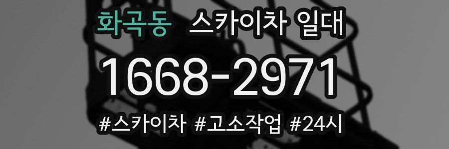 화곡동 스카이차 일대