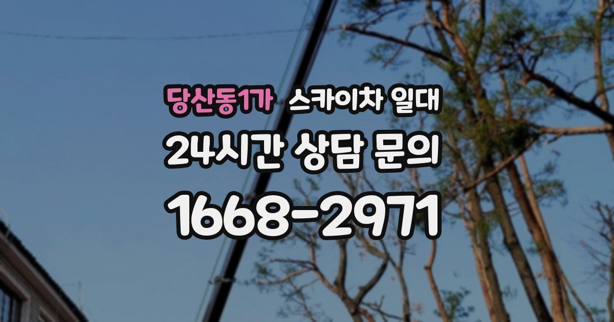 당산동1가 스카이차 일대