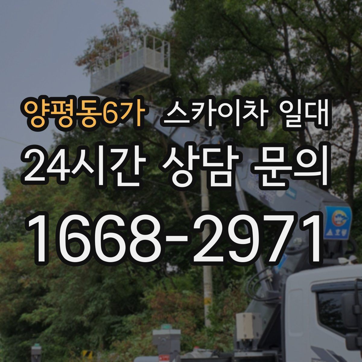양평동6가 스카이차 일대 안전벨트와 보호장비 점검 포인트