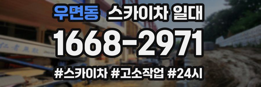 우면동 스카이차 일대