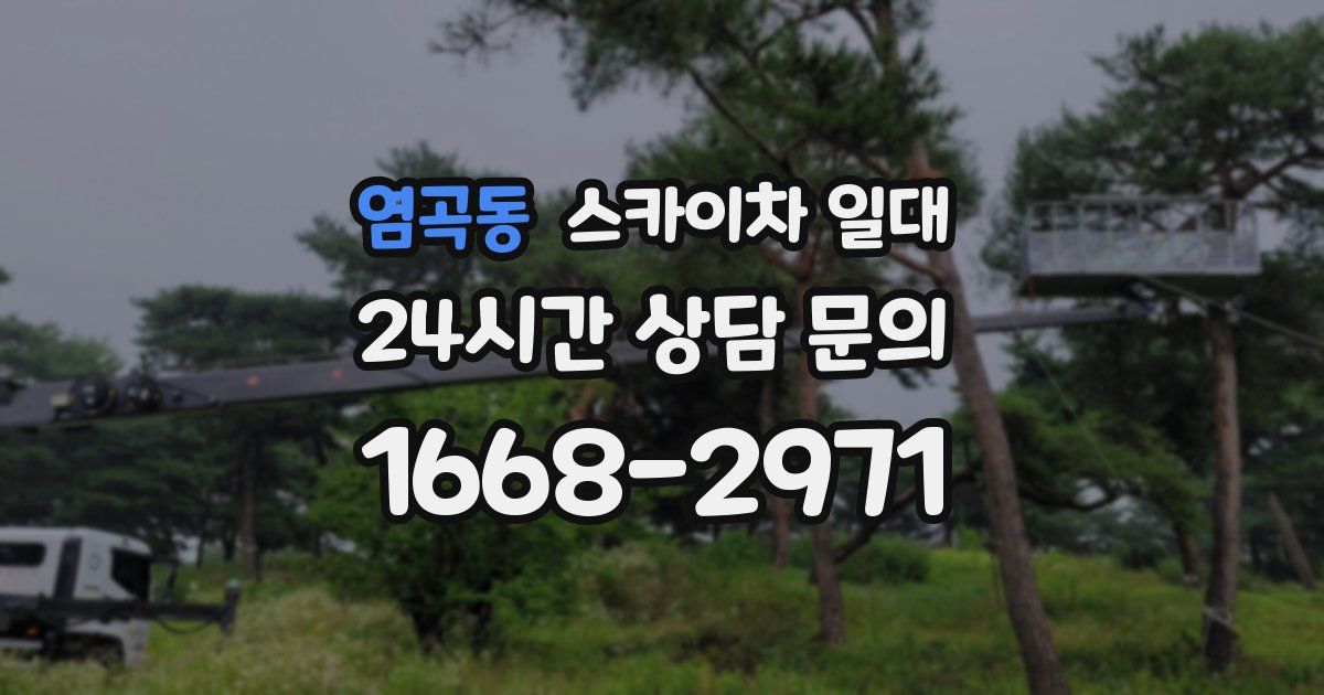 염곡동 스카이차 일대