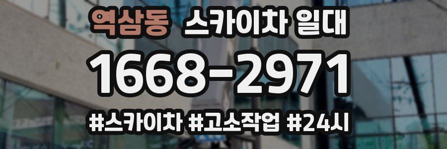 역삼동 스카이차 일대