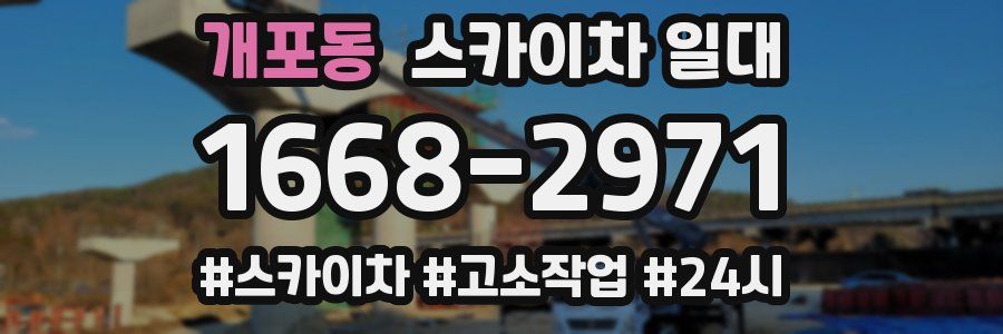 개포동 스카이차 일대