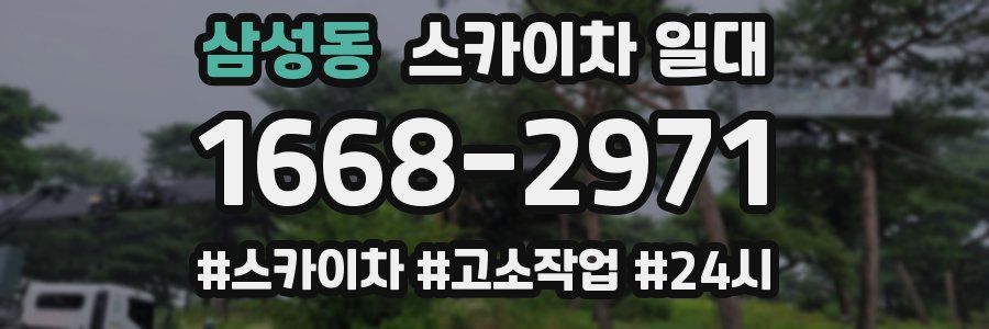 삼성동 스카이차 일대