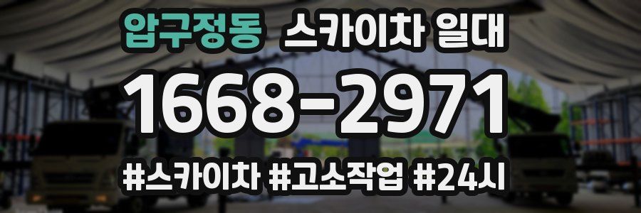 압구정동 스카이차 일대