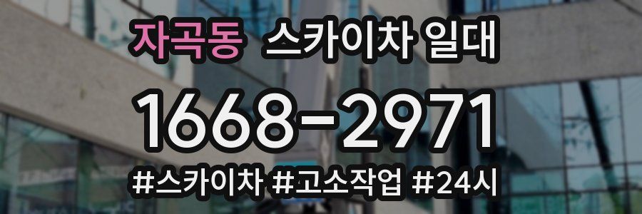 자곡동 스카이차 일대