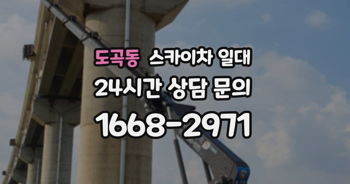 도곡동 스카이차 일대