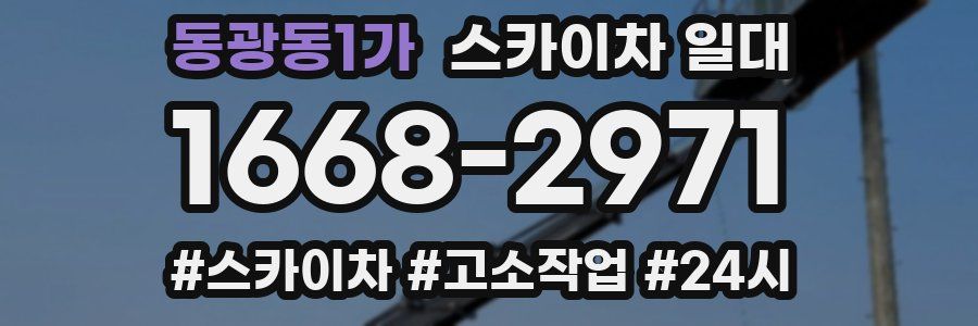 동광동1가 스카이차 일대