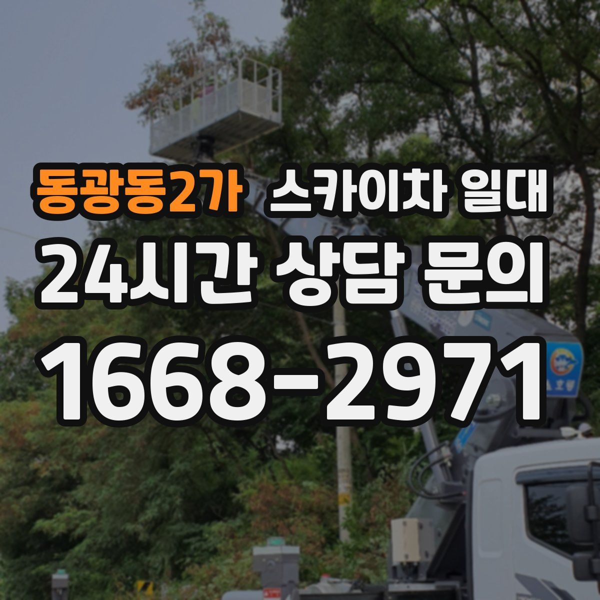 동광동2가 스카이차 일대