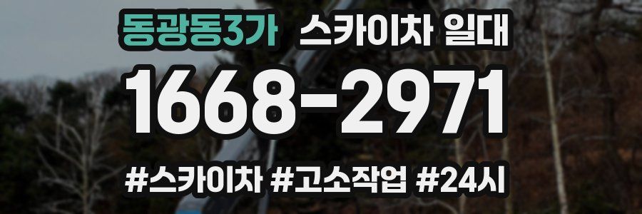 동광동3가 스카이차 일대