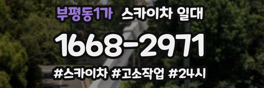 부평동1가 스카이차 일대