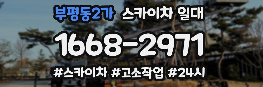 부평동2가 스카이차 일대