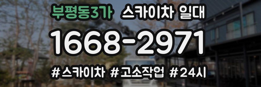 부평동3가 스카이차 일대