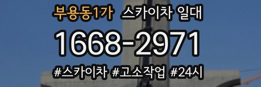 부용동1가 스카이차 일대