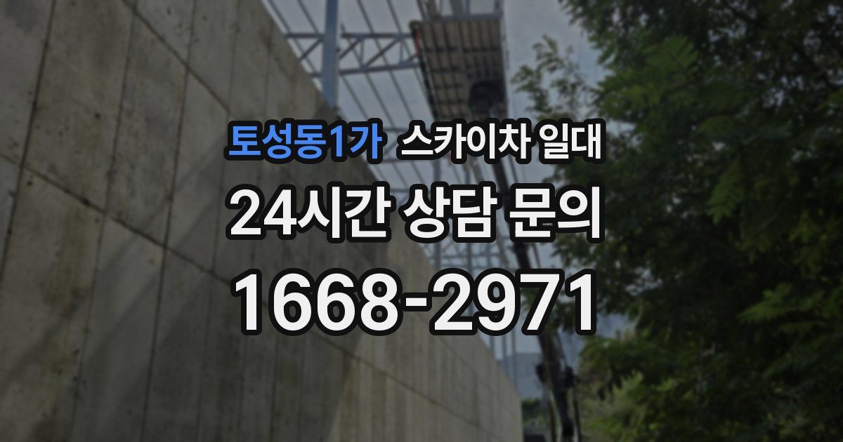토성동1가 스카이차 일대