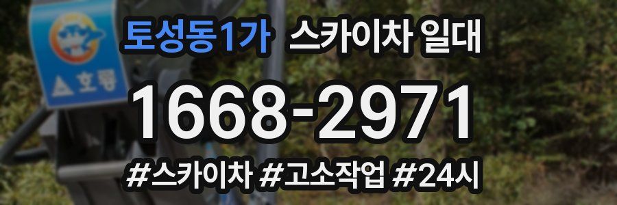 토성동1가 스카이차 일대