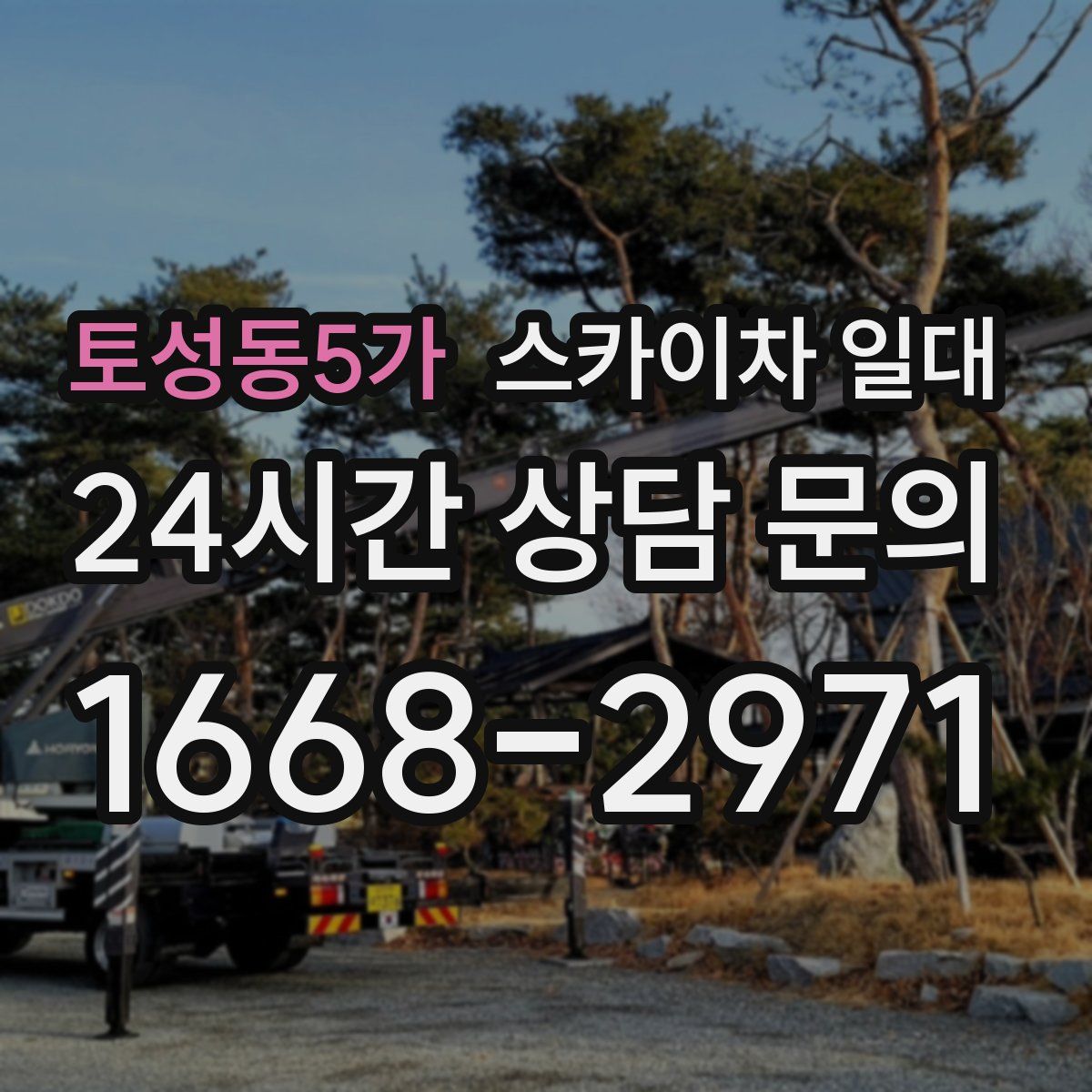 토성동5가 스카이차 일대