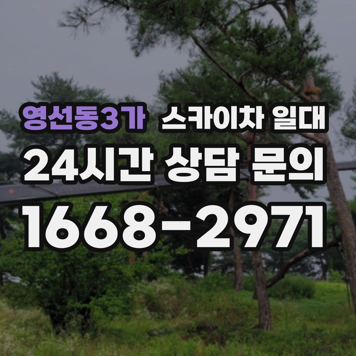 영선동3가 스카이차 일대