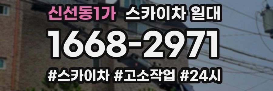 신선동1가 스카이차 일대