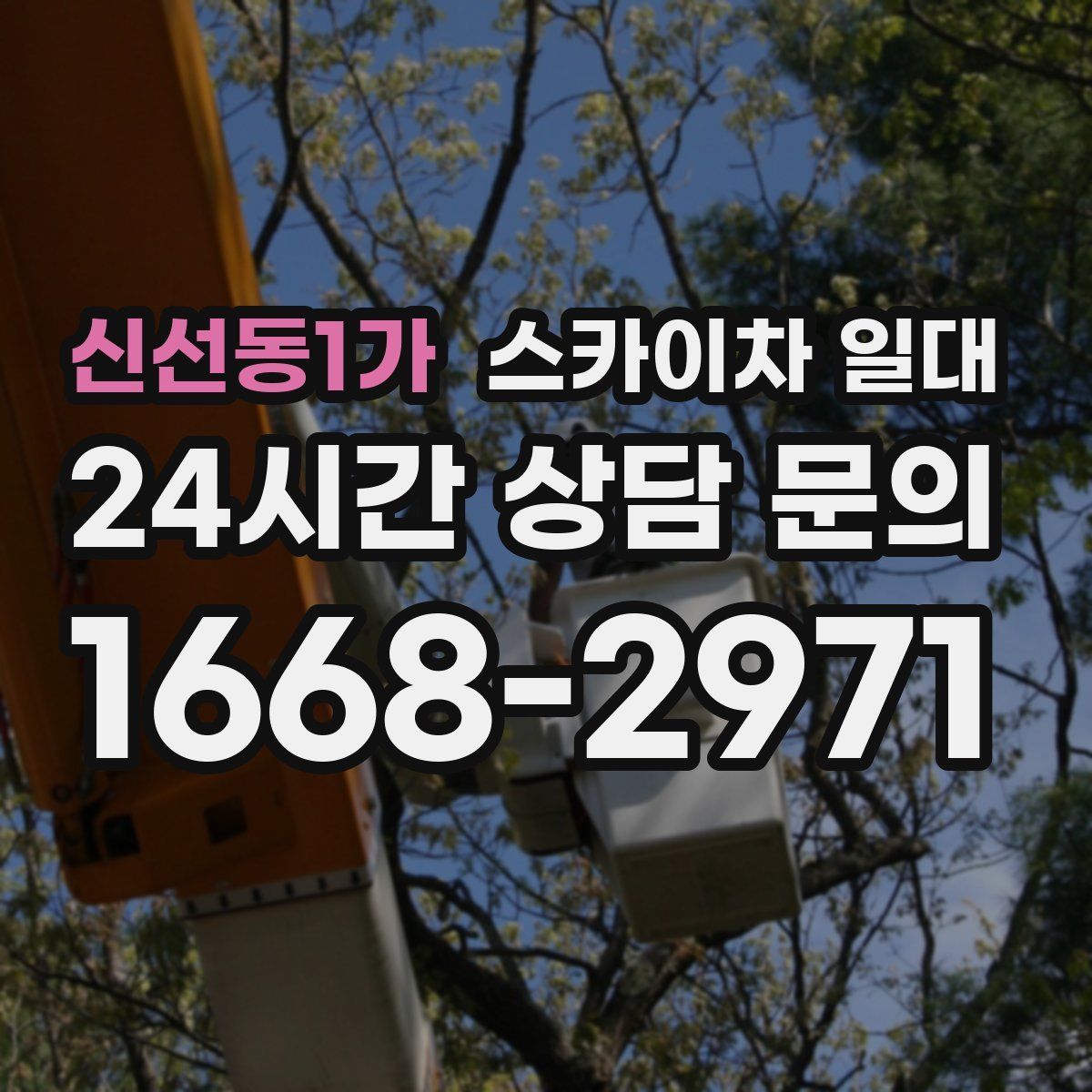 신선동1가 스카이차 일대