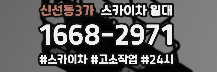 신선동3가 스카이차 일대