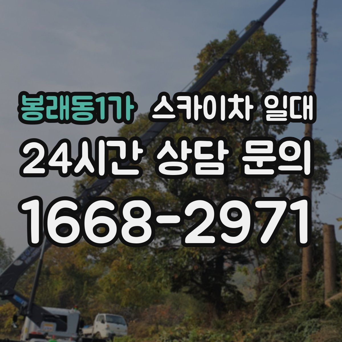 봉래동1가 스카이차 일대