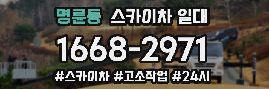 명륜동 스카이차 일대