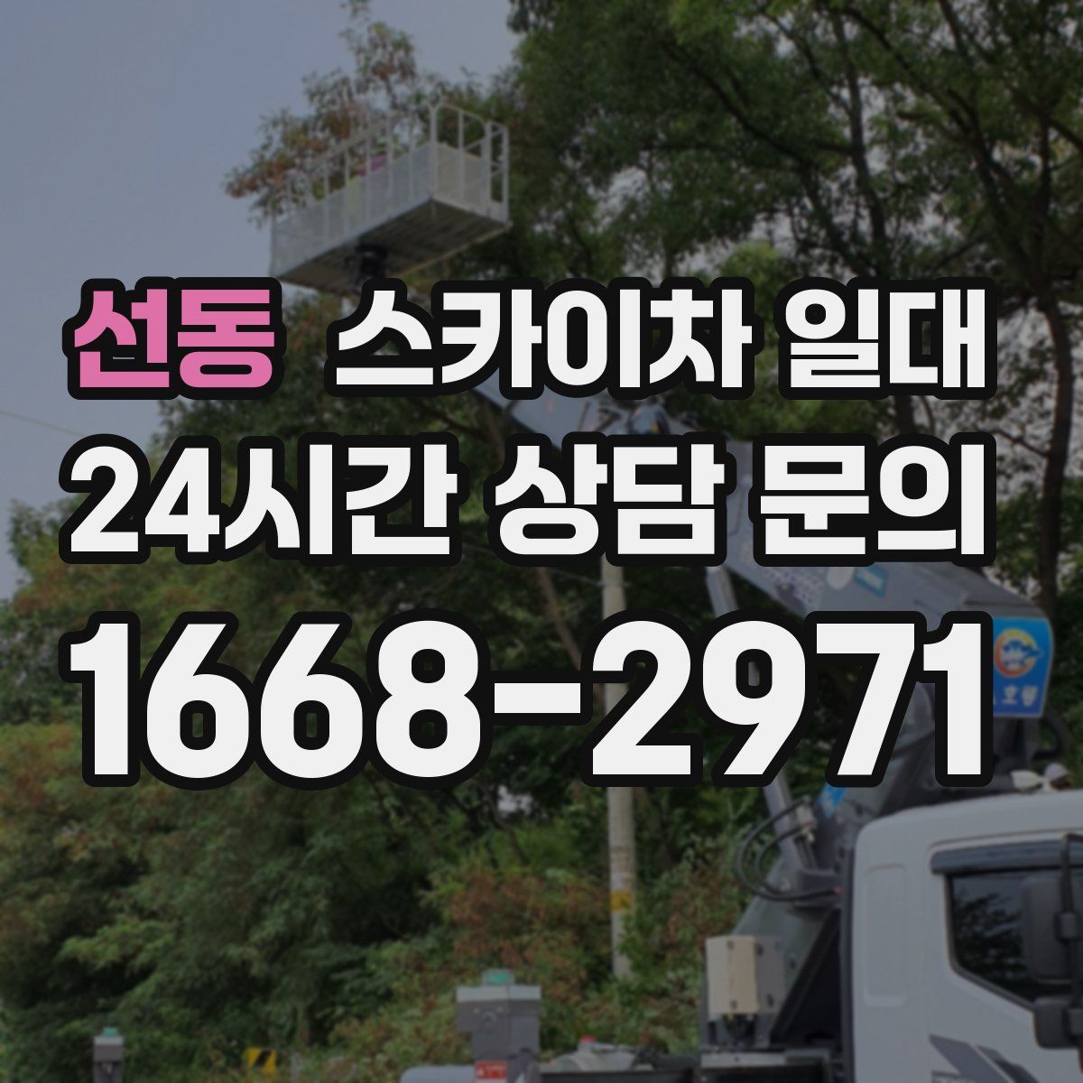 선동 스카이차 일대