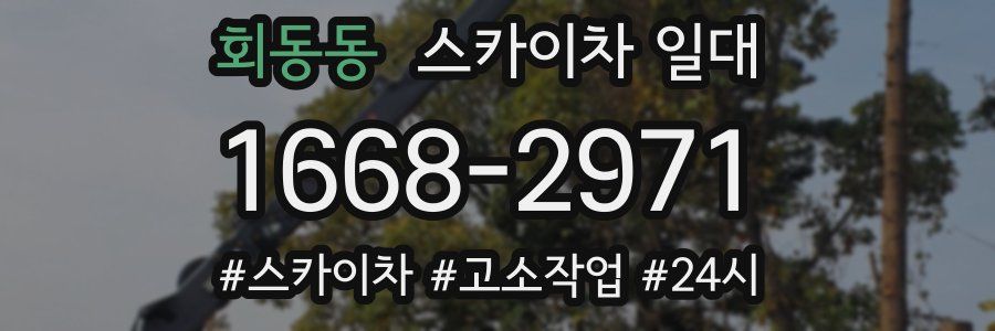 회동동 스카이차 일대