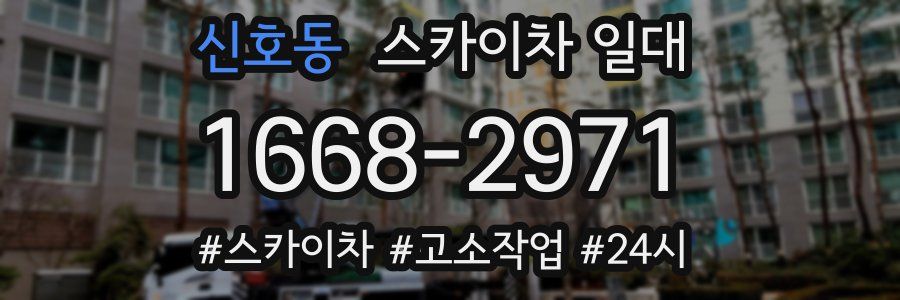 신호동 스카이차 일대