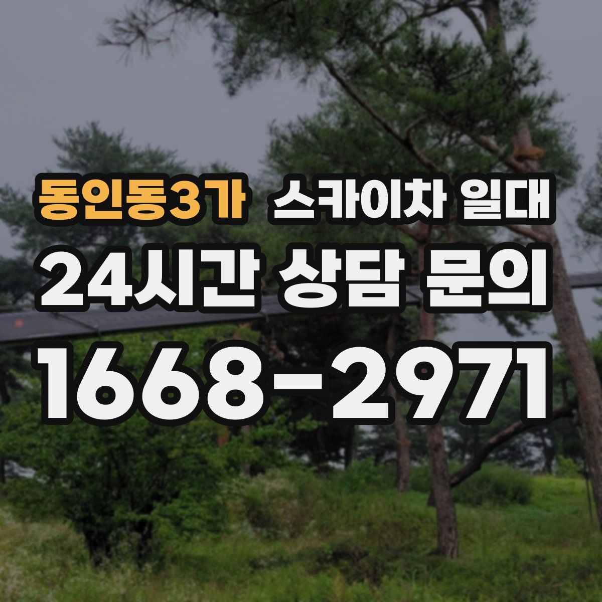 동인동3가 스카이차 일대