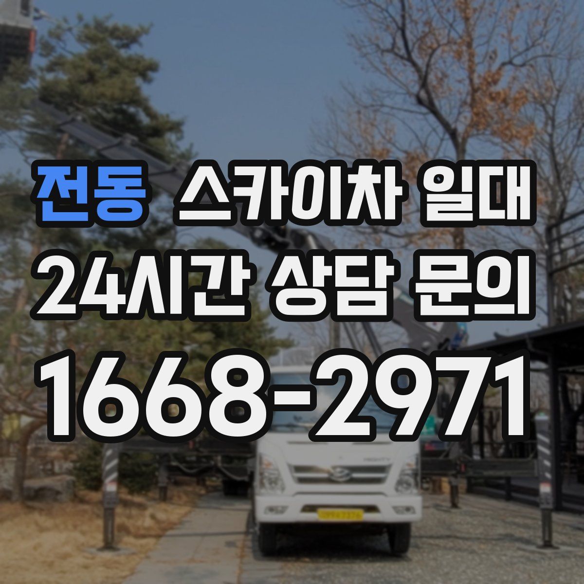 전동 스카이차 일대