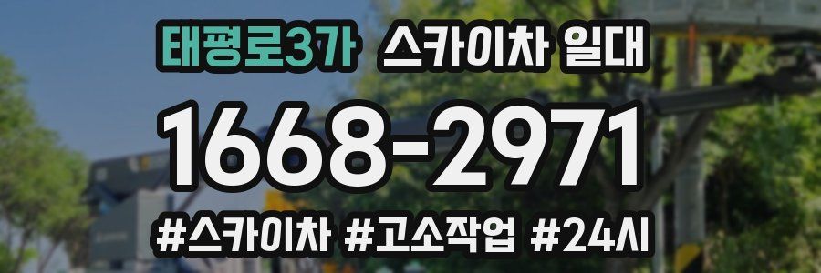 태평로3가 스카이차 일대