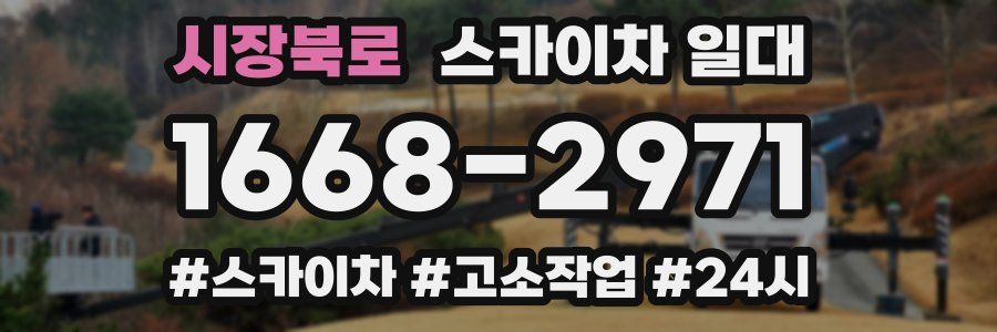 시장북로 스카이차 일대