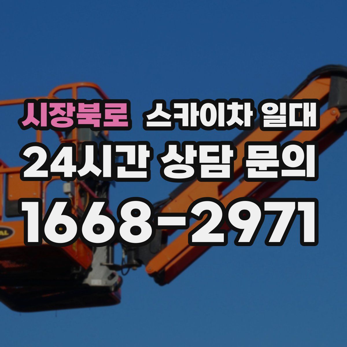 시장북로 스카이차 일대