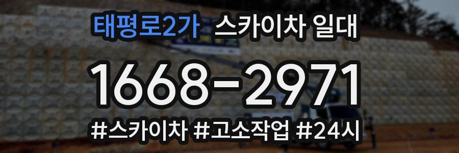 태평로2가 스카이차 일대