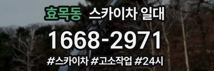 효목동 스카이차 일대