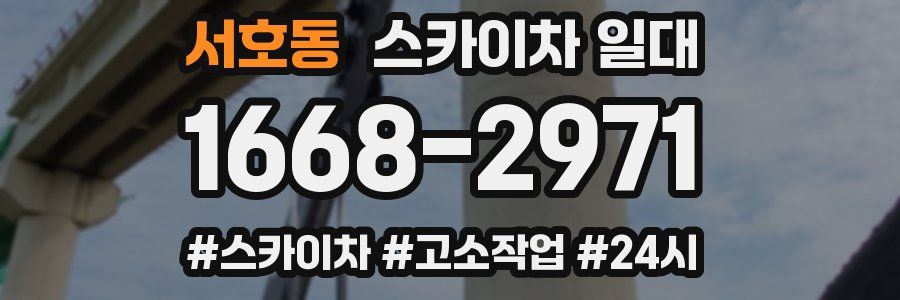서호동 스카이차 일대